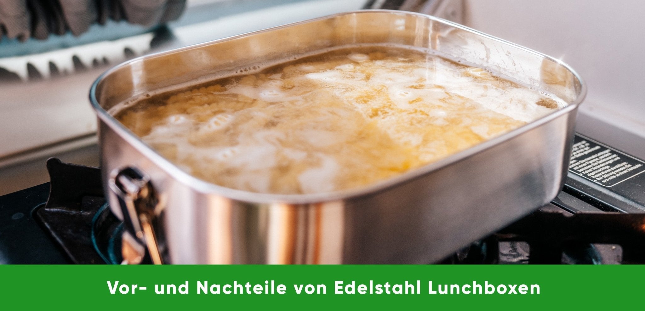 Vor- und Nachteile der Edelstahl Lunchbox - Blockhütte