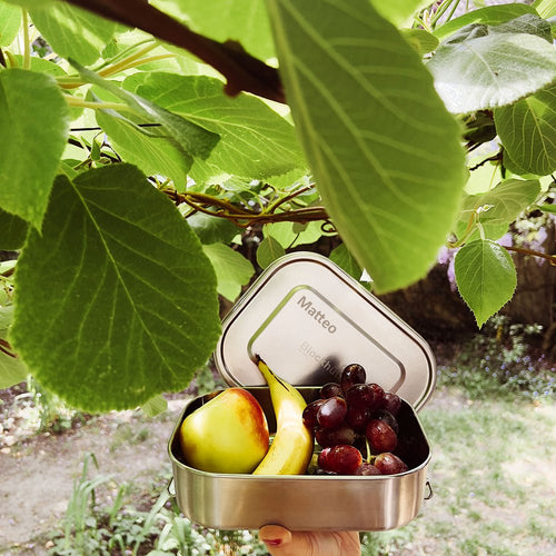 The Search is Over: The Ultimate Indestructible Lunch Box Kids Can't Break - Blockhütte UK
